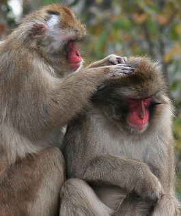 A non-neurotic nitpicking conversation