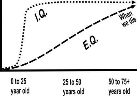 Counterbalancing Our I.Q. now