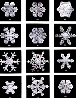Emergent Snowflakes