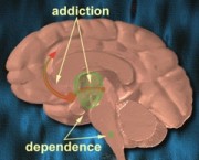 Free willers anonymous addiction-dependance