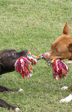 Learning what you know