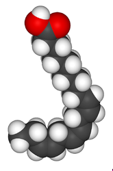 Alpha-linolenic acid (ALA)